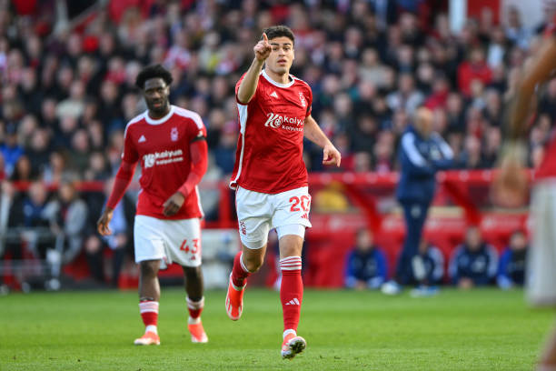 但仔细分析 但仔细分析