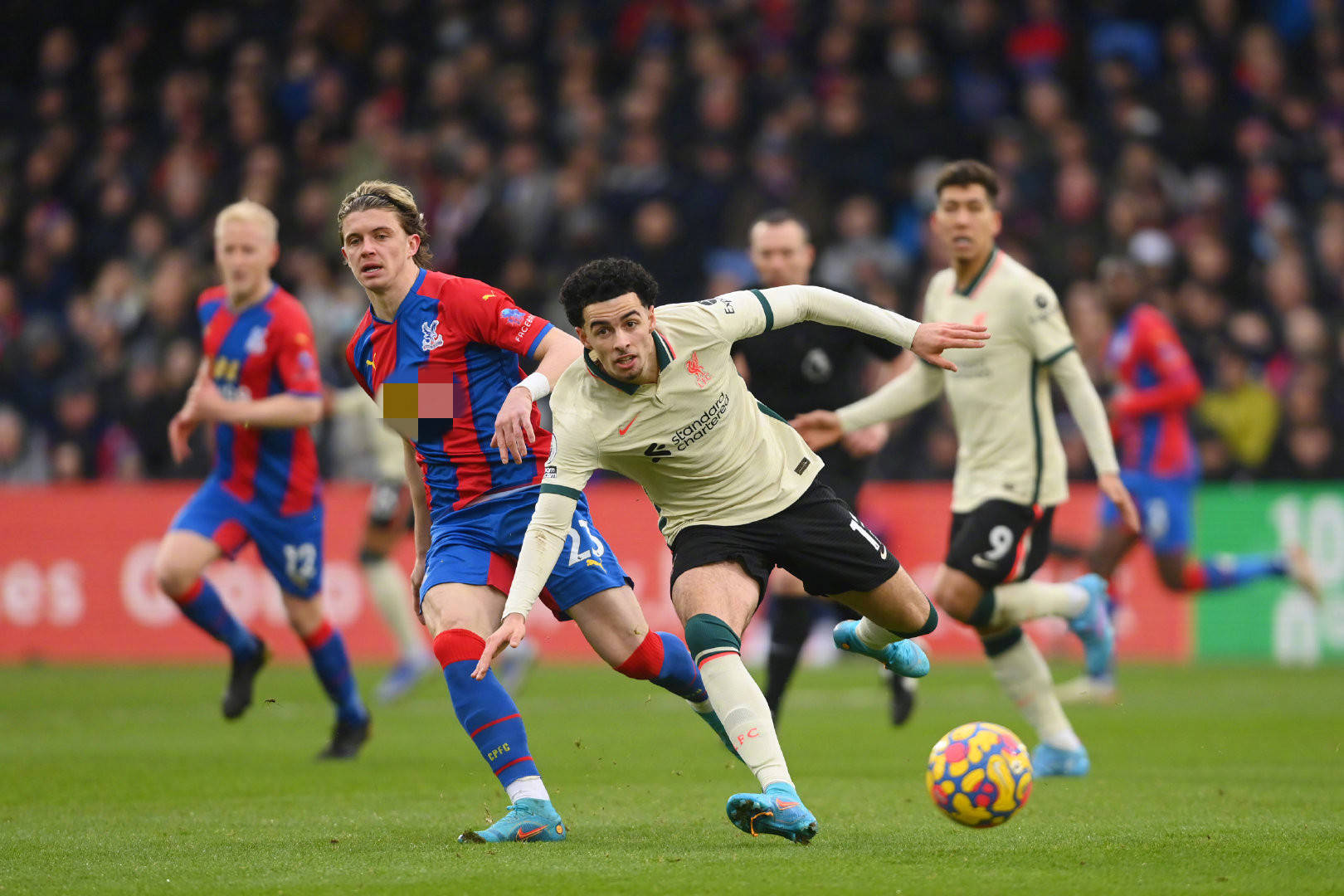 节奏调控 节奏调控